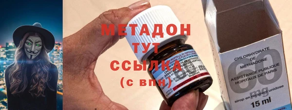 шишки Белокуриха