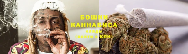 шишки Белокуриха
