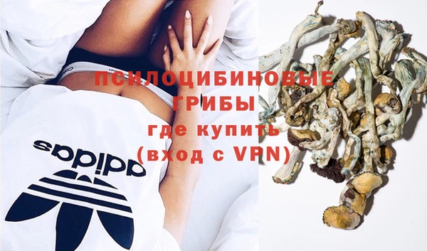 шишки Белокуриха