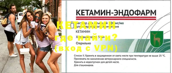 шишки Белокуриха