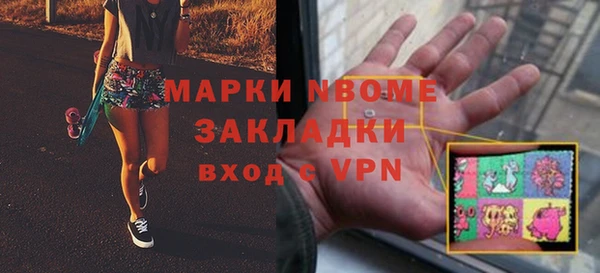 шишки Белокуриха